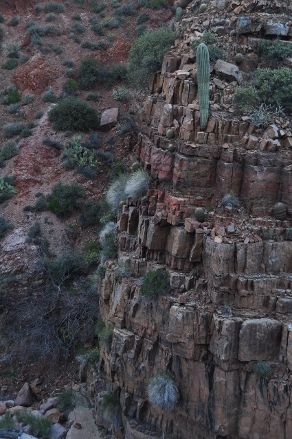 Cottonwood Canyon Trail 